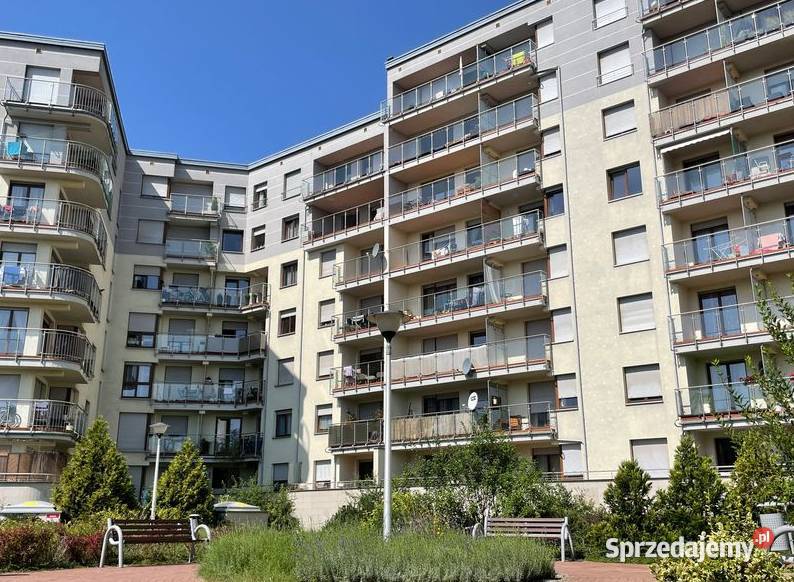 4pok 136met Krzyckiej 2 TARASY2 BALKONY Wrocław Liczba pokoi 5 dolnośląskie sprzedam
