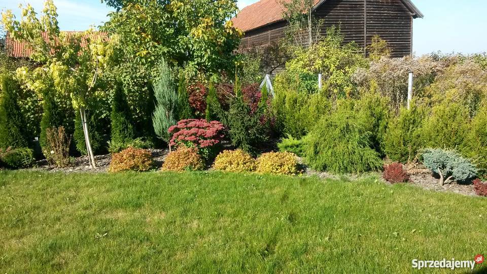 Piękny dom całoroczny Nowa Wieś Ostródzka 150m2 warmińsko-mazurskie Nowa Wieś Ostródzka