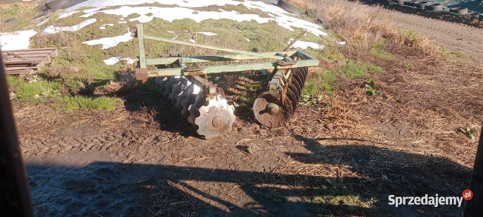 Talerzówka bomet Brony Ciepielewo