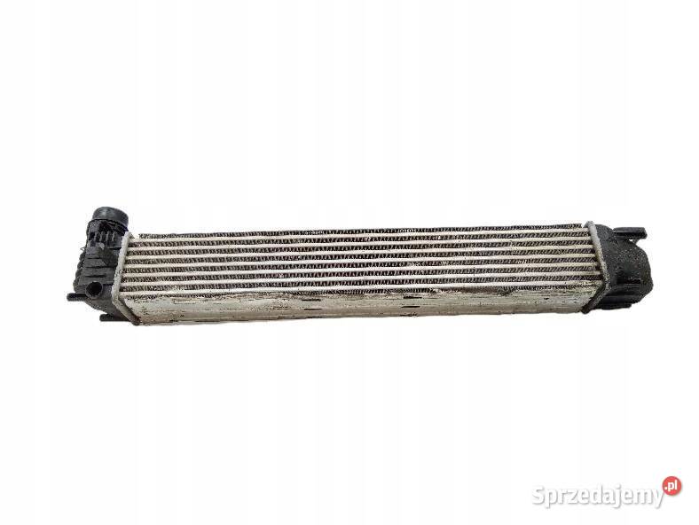 INTERCOOLER CHŁODNICA 19 DCI Renault Scenic III sprzedam