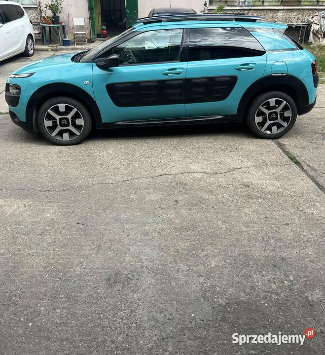 Citron C4 Cactus Wrocław