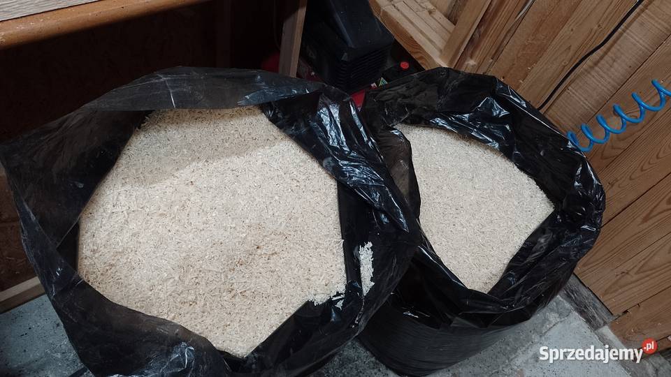 Trociny 120L suche bez pyłu z drewna suszarni Roczyny
