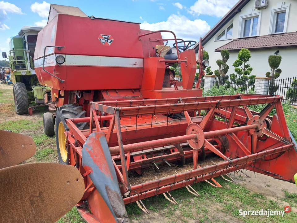 Kombajn zbożowy Massey Ferguson 186 z Massey Ferguson mazowieckie Skaryszew