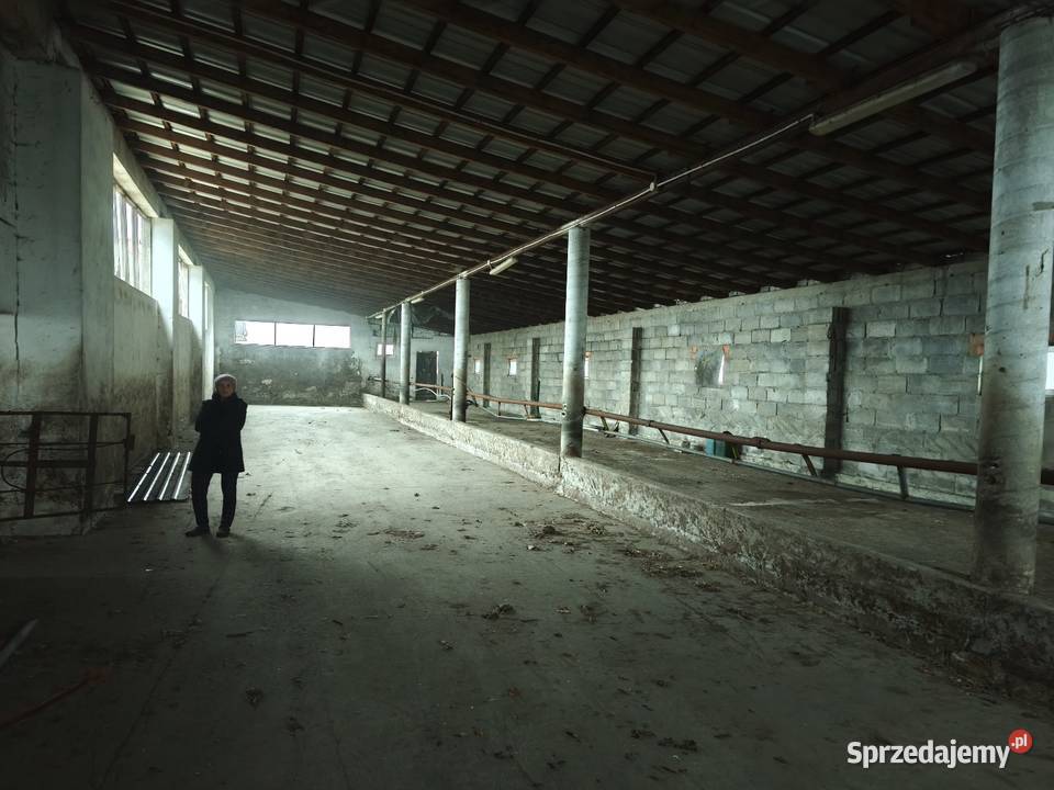 Sprzedam wynajmę budynki gospodarcze Łanięta