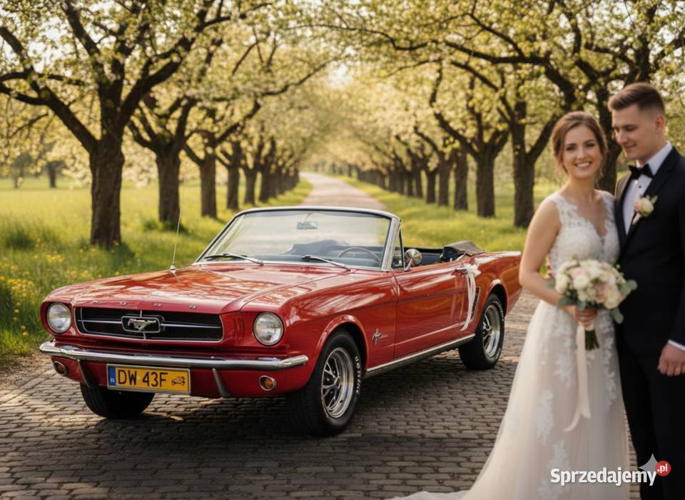 Ford Mustang 1965 kabrio auto Do Ślubu na wesele Konstantynów Łódzki