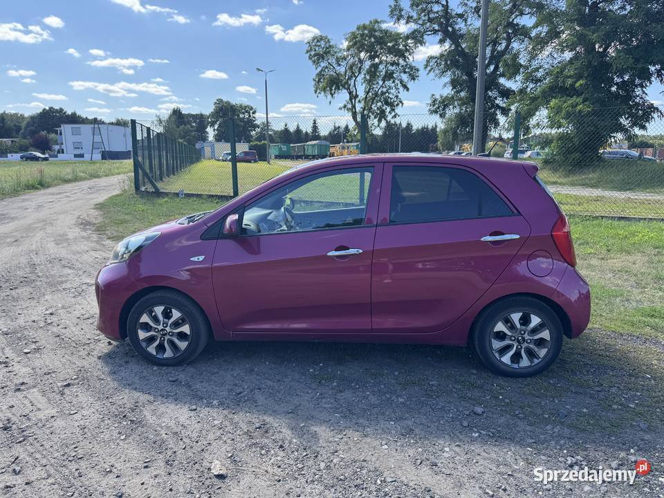 Kia Picanto 10 benzyna 66 2016 109 884 Zbąszyń