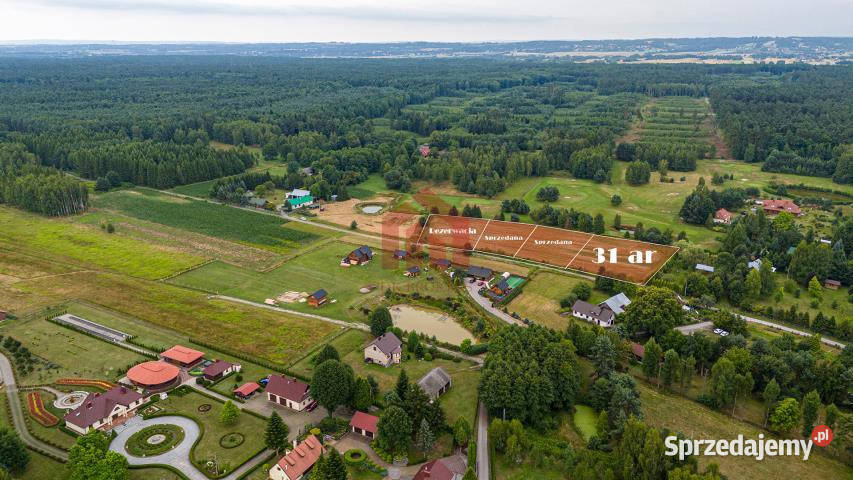 sprzedaży działki Krzywa 3100m2