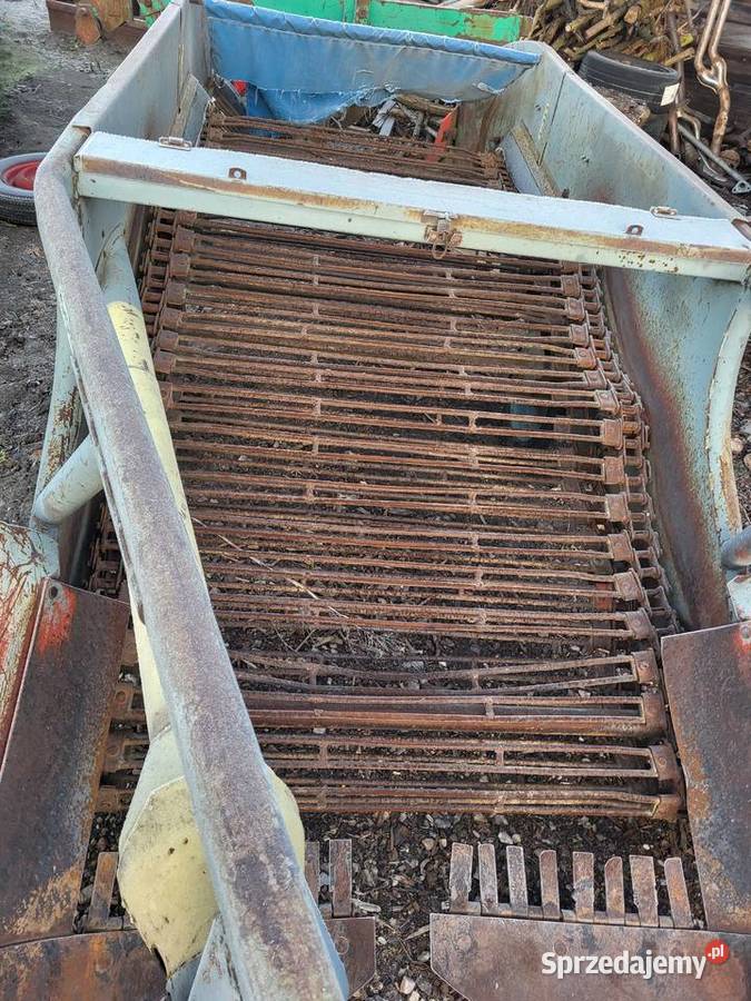 Kopaczka elewatorowa do ziemniaków mazowieckie