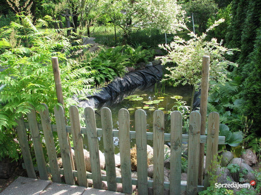 działkę pracowniczą ŁÓDŹ Łódź