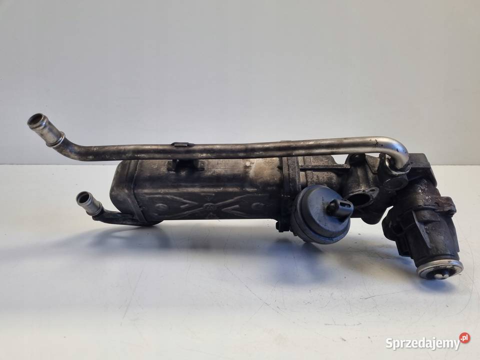 CHŁODNICA SPALIN EGR VW Golf VI A3 8P Octavia II lubelskie Rudka