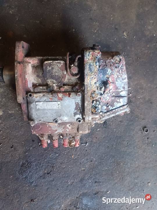 Sprzedam Sokola Dąbrowa sprzedam