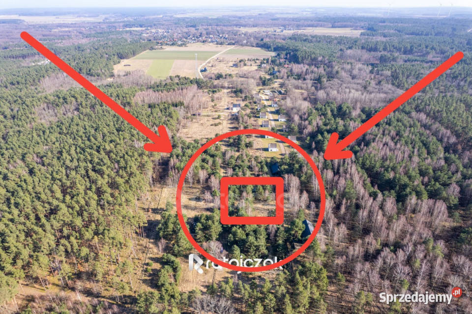 Grunt na sprzedaż 9751m2 Sasino Stara Cegielnia sprzedam