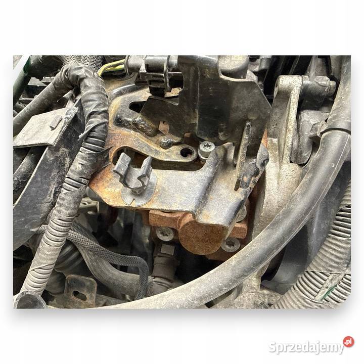 SILNIK G8DD Ford Focus II MK2 C C 16 TDCI 109 osobowe Chełm