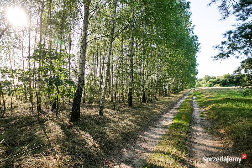 Działka budowlana 1700m Dębe Kosów Lacki