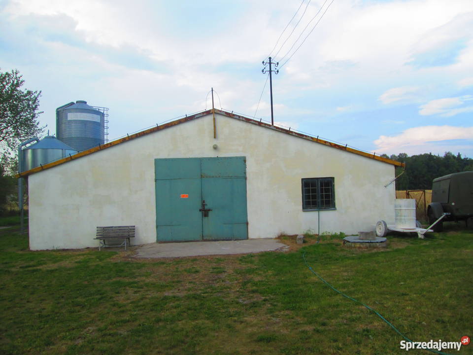 FERMA DROBIU Z DOMEM MIESZKALNYM sprzedam