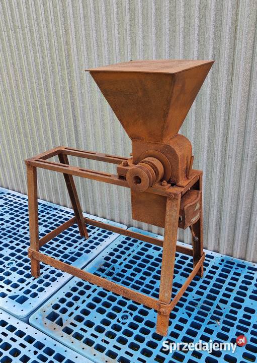 Kościarka wilk do kości Pozostałe