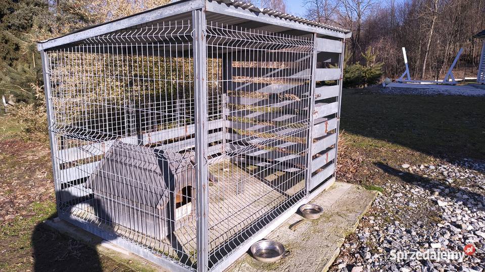 Kojec psa Pozostałe Brzesko