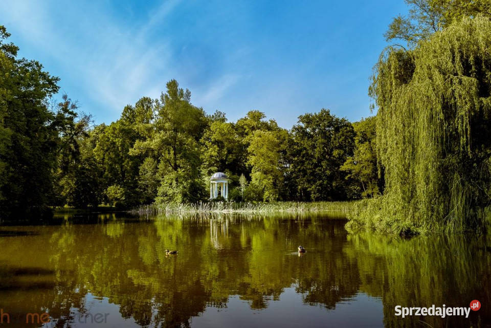 Mieszkanie 5033m2 3pokojowe Wrocław Odolanowska