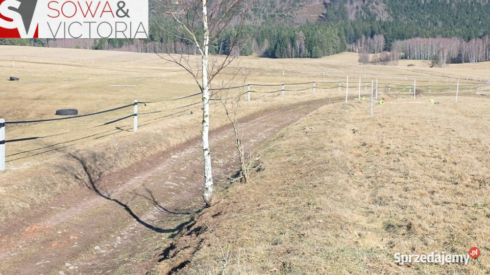 Inwestycyjna granicy z Czechami i węźle S3 Chełmsko Śląskie sprzedam