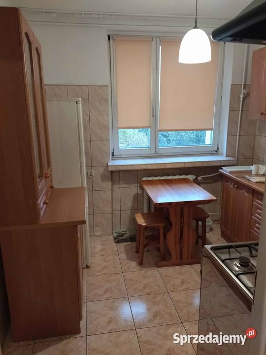 Mieszkanie do wynajęcia lubelskie Chełm