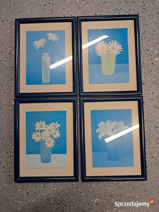 4 ramki w kolorze niebieskim 20 x 26 stan
