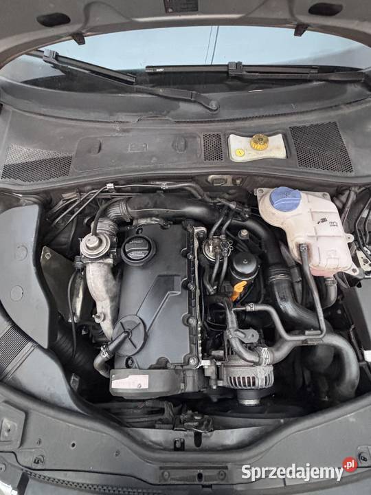 PASSAT B5fl 19 tdi Uszkodzony Rzeczyca