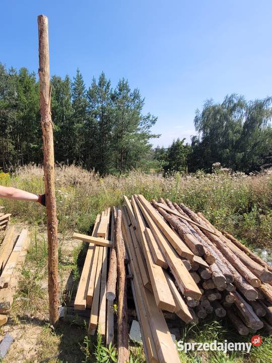 stemple budowlane świeże 3 m długości 100 sztuk Gruszczyn sprzedam