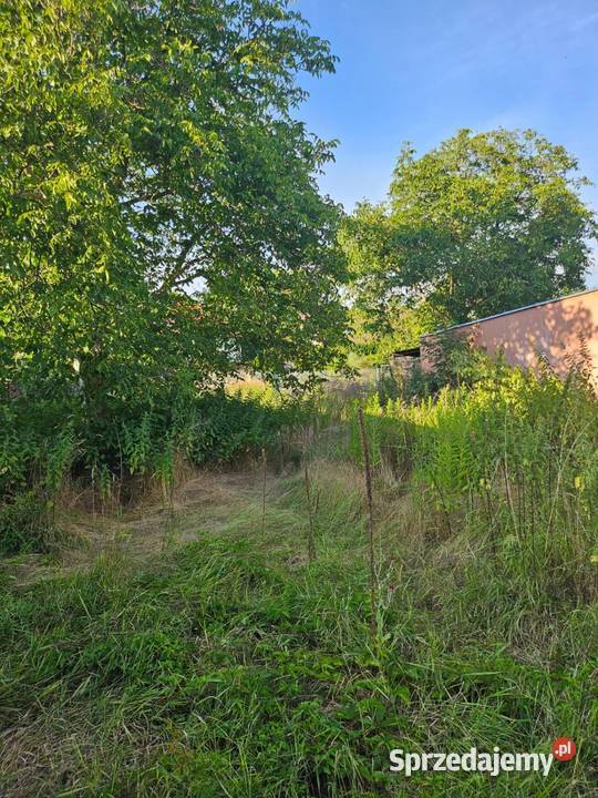 Sprzedam udzial Wrocław sprzedam