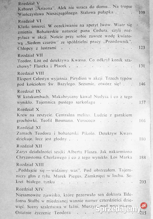 Niewiarygodne przygody Marka Piegusa Edmund Chełm