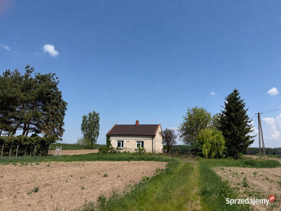 Kampinos Zawady działka 3200m2 dom ok 100m2 do sprzedam