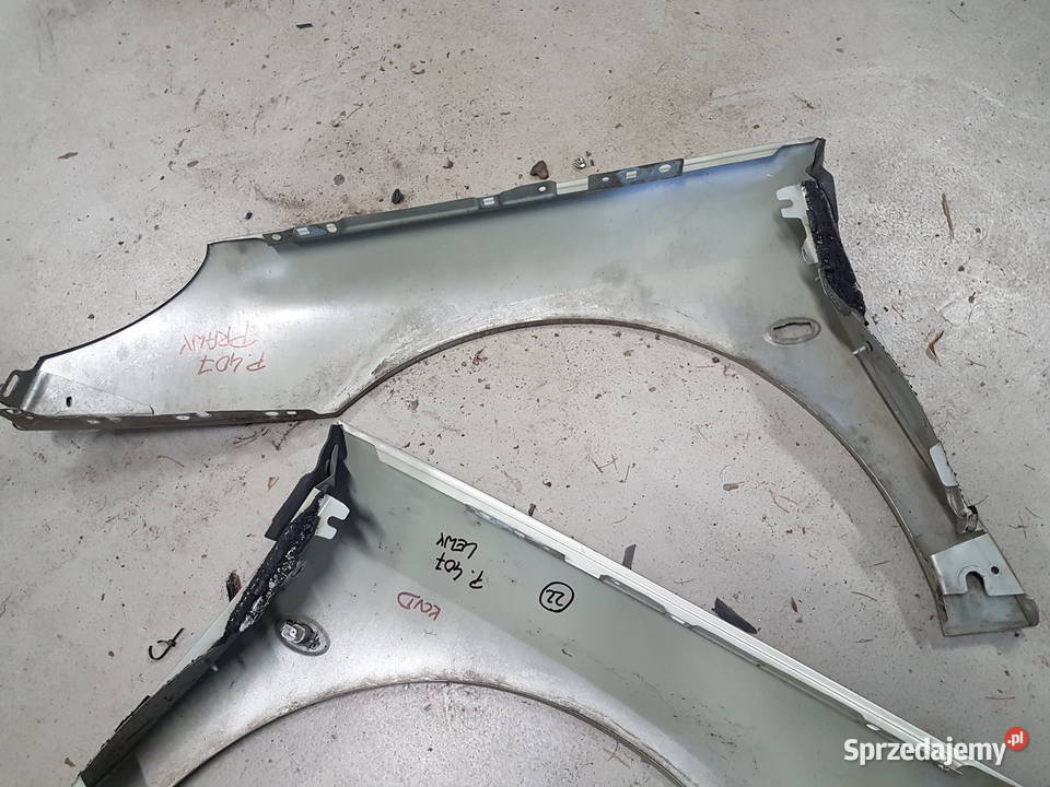 PEUGEOT 407 BLOTNIK PRZOD LEWY PRAWY KCVD wielkopolskie Turek