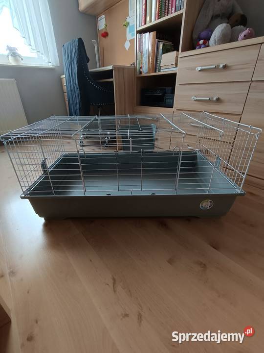 Klatka królika Gdańsk