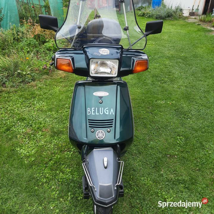 Beluga naklejka skuter Yamaha Raszyn