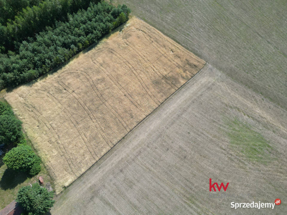 Grunt Jerominy 3702m2 42zł/m2