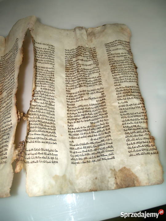 Dziewiętnastowieczna tora na pergaminie małopolskie Tarnów sprzedam