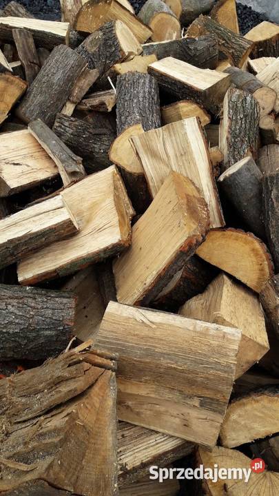 Drewno dab suche opalowe i kominkowe Opał Środa Śląska