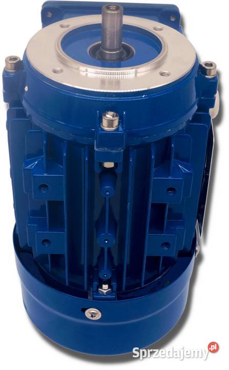 SILNIK ELEKTRYCZNY 025kW 230400V 1340obr 3FAZOWY Solec Kujawski