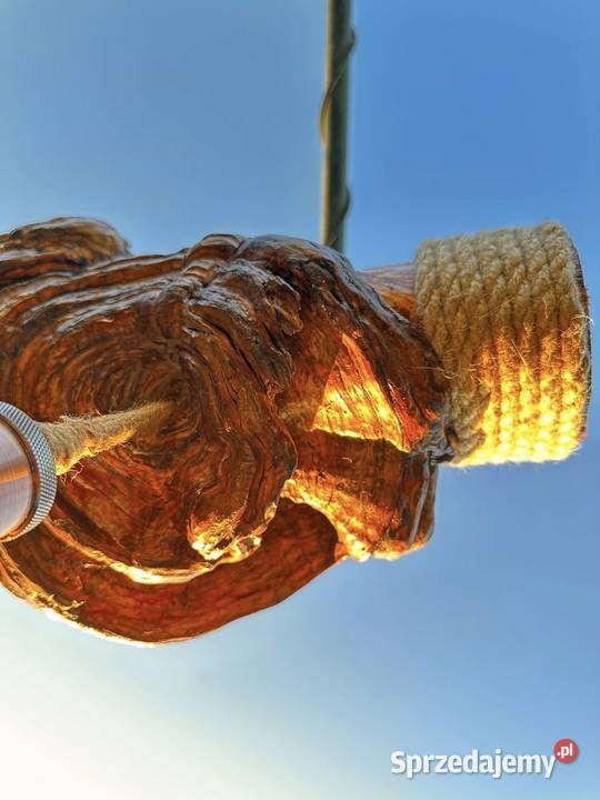 Lampa wisząca z czagi unikatowe rękodzieło Lampy wiszące Lubasz