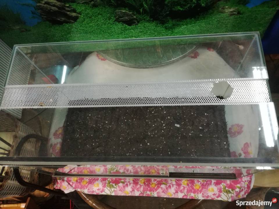 Terrarium Akwarystyka Stargard
