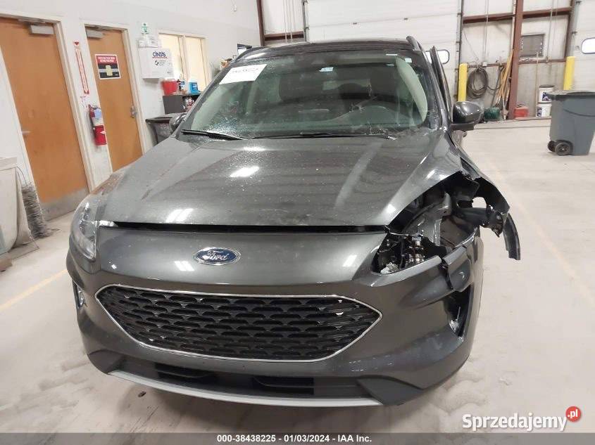 FORD KUGA ESCAPE 2020 USA STANY KANADA asystent pasa ruchu wielkopolskie