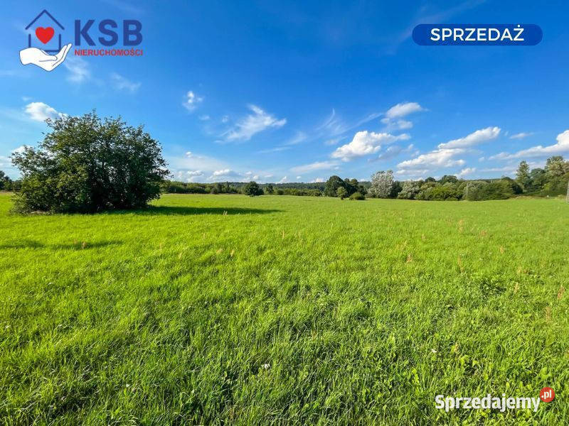 Działka budowalna z WZ 105ha Michałów Starachowice