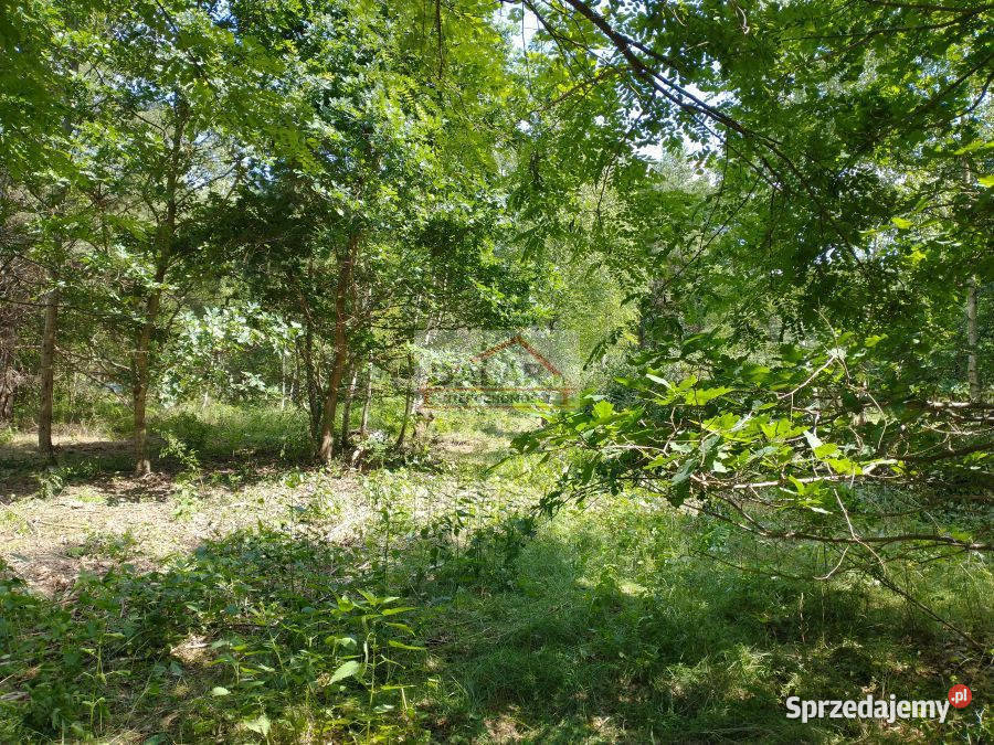 sprzedaży gruntu 1000m2 Nowe Racibory