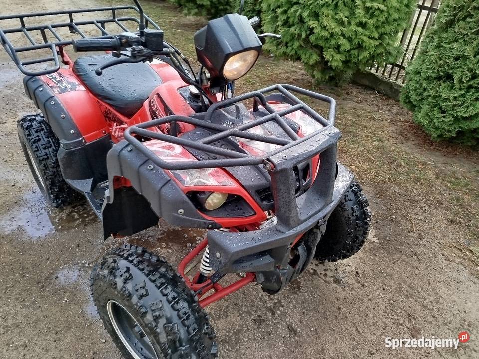 Quad 250 cc manual 41 koła 10 2020r quad - ATV Skłody Borowe sprzedam