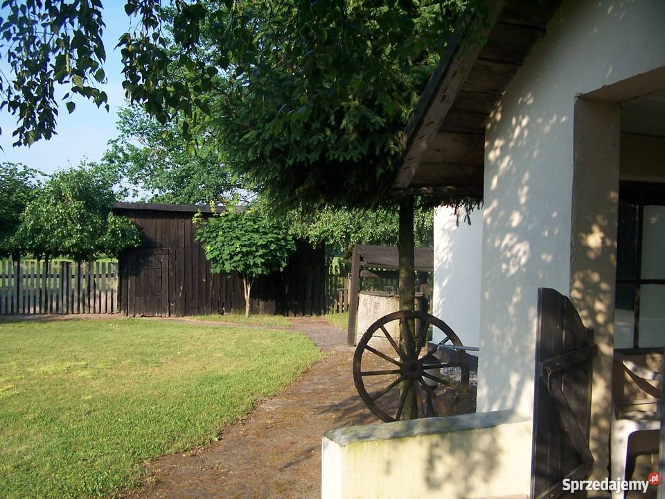 Sprzedam siedlisko 1500zł/m2 Kalisz