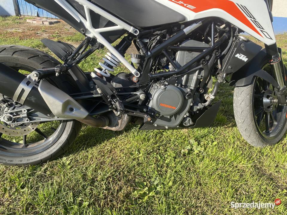 KTM Duke 390 Kielce