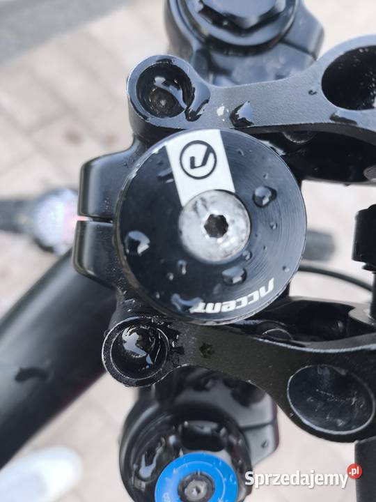 Rower DH specialized big hit 2 dolnośląskie Chojnów sprzedam