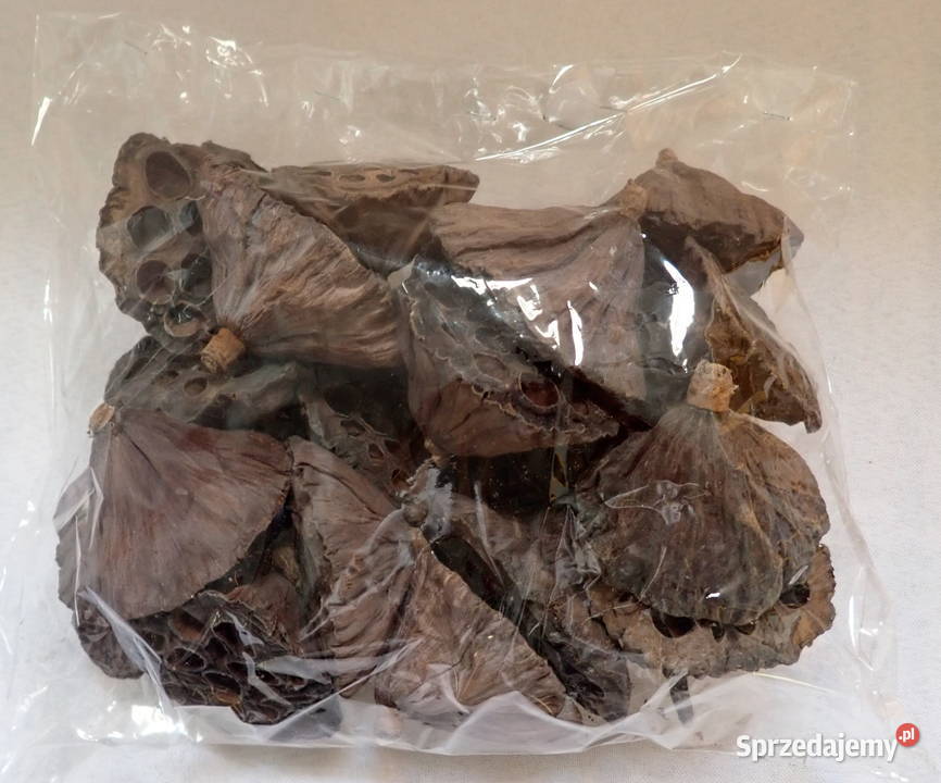 Kwiat Lotosu suszony naturalny Paczka 20 śląskie