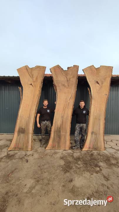 Drewno ozdobne orzech włoski topola wiąz Plastry podkarpackie