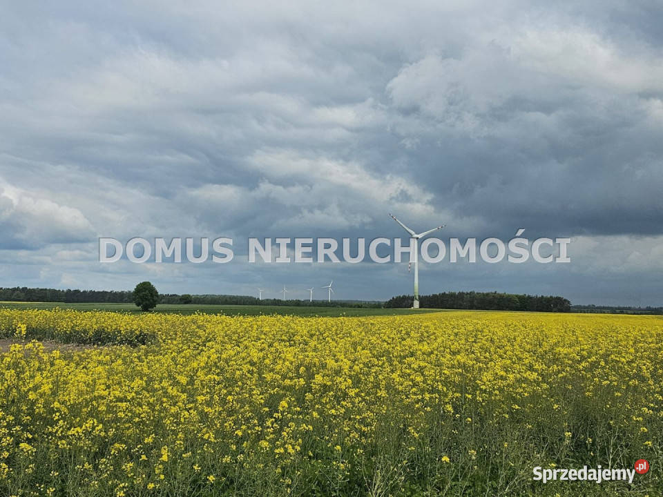 sprzedaży gruntu 67765m2 Stefanów kanalizacja Sprzedaż