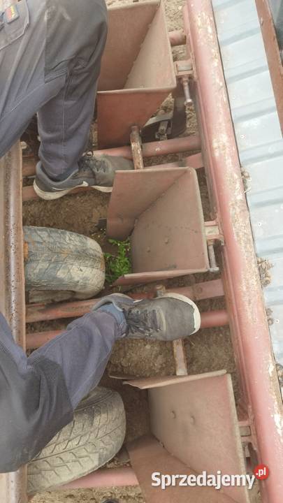 Sadzarka do mięty nieuszkodzony Rząśno